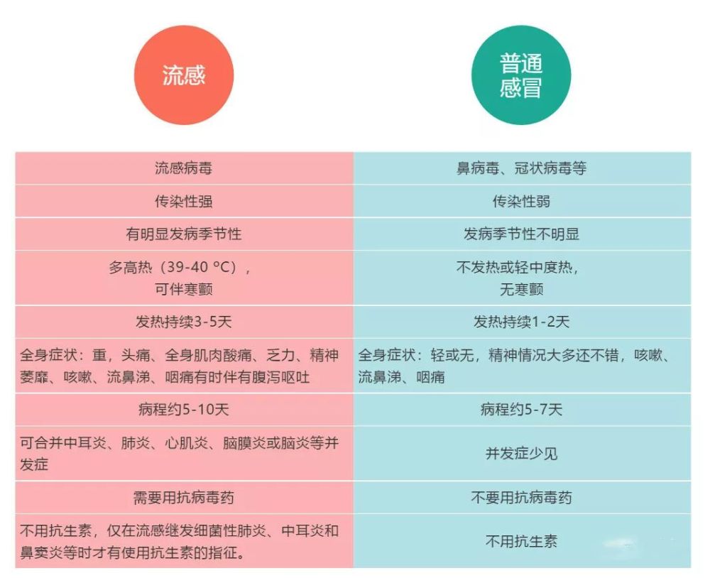 流感≠普通感冒,用药方案大解读