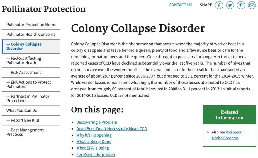 无数人diss的上海春考英语卷,原来也就是美国