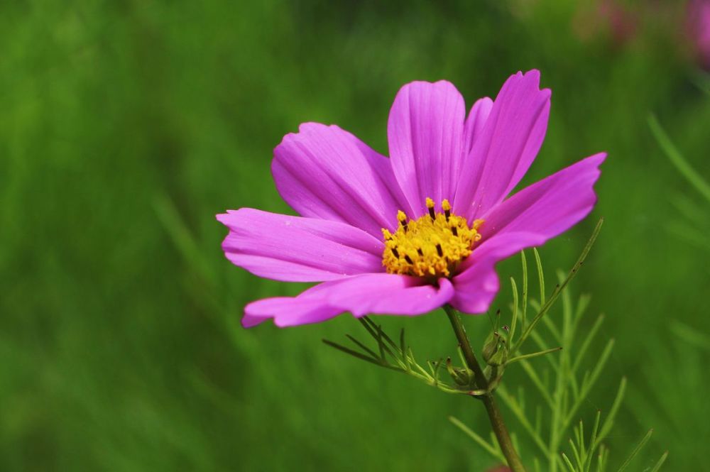 一起爬山的男人说:人到中年,要学会收心