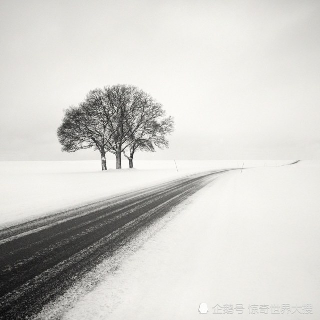 摄影师捕获冬天最孤独宁静的雪景,每一张都令人惊叹