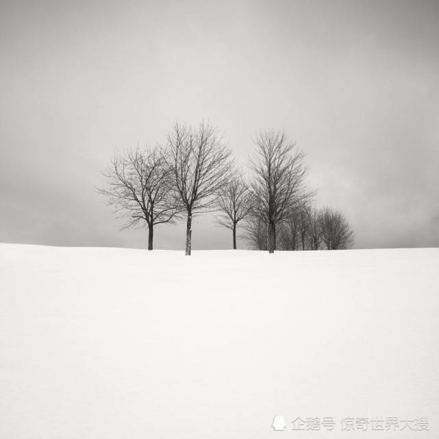 摄影师捕获冬天最孤独宁静的雪景,每一张都令人惊叹