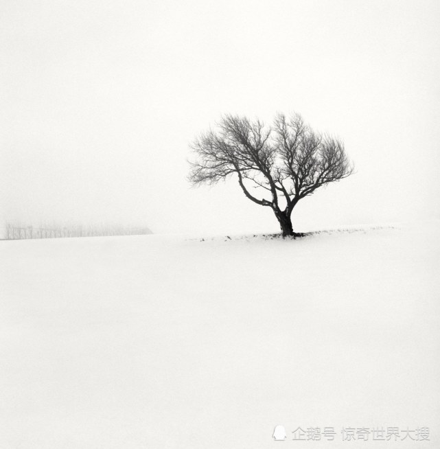 摄影师捕获冬天最孤独宁静的雪景,每一张都令人惊叹