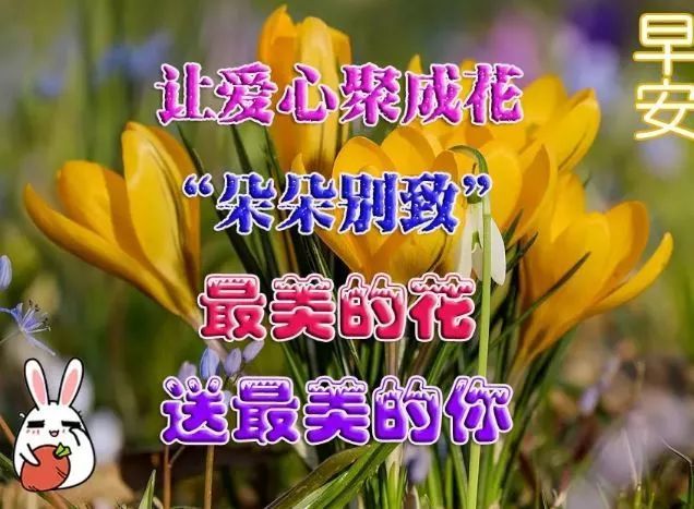 4月19日最新版漂亮早上好动态表情问候图片,早上正能量问候语动态图片