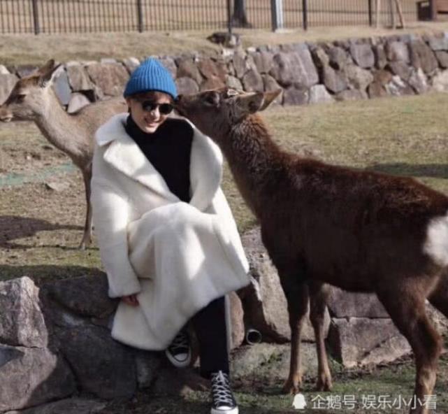 娱乐早报| 关晓彤杨紫春晚彩排路透曝光,二人腿