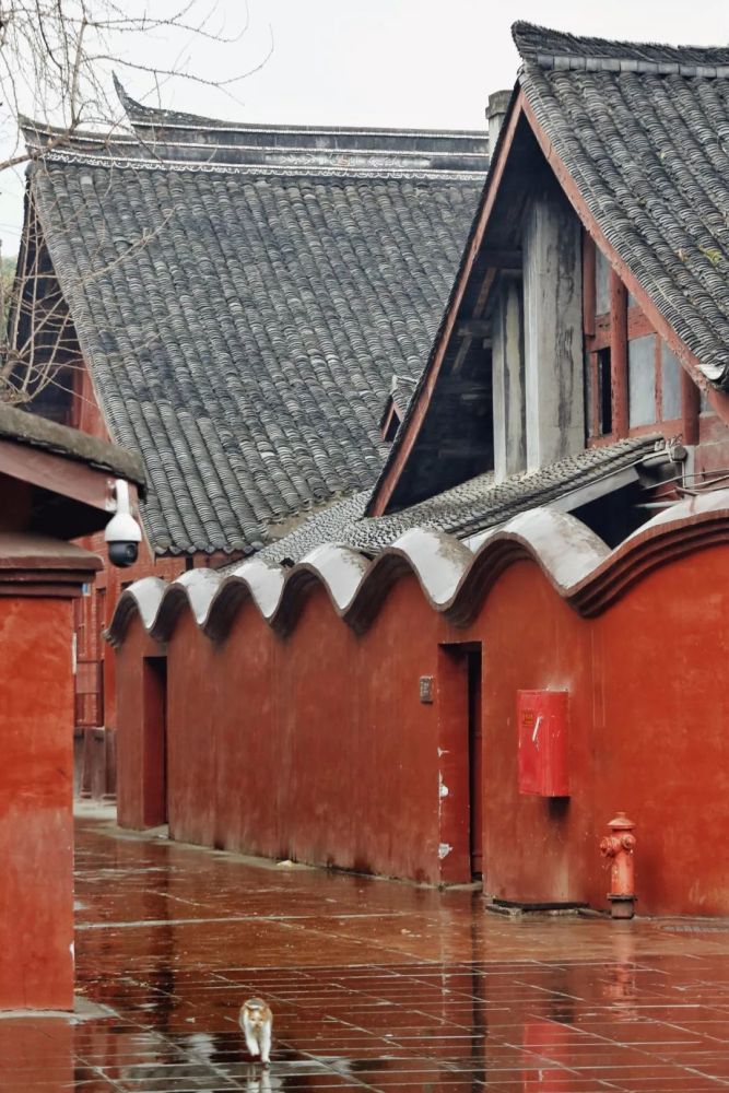 宗教场所地图:2019,像神仙一样活着