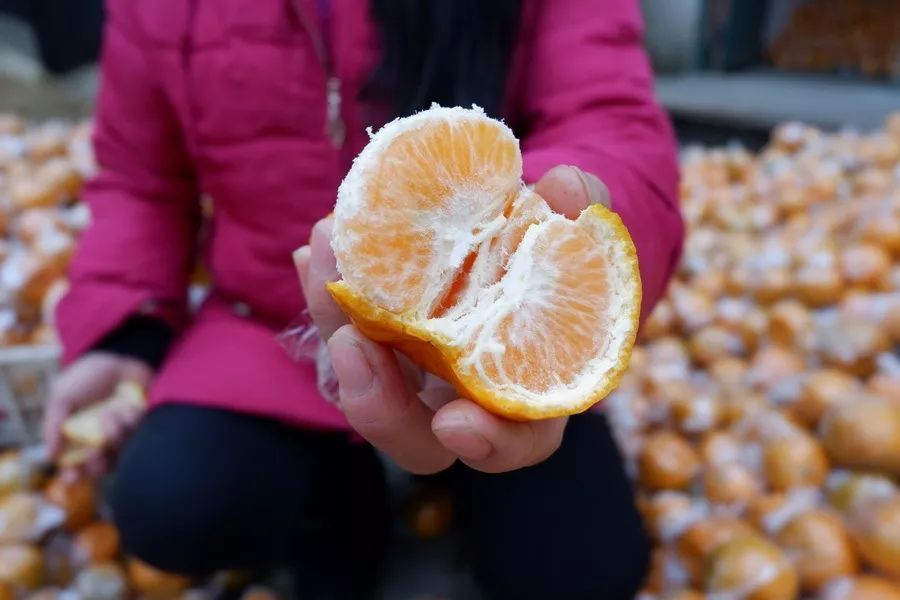 湖南椪柑大面积滞销!新华社发文,保靖果农向全