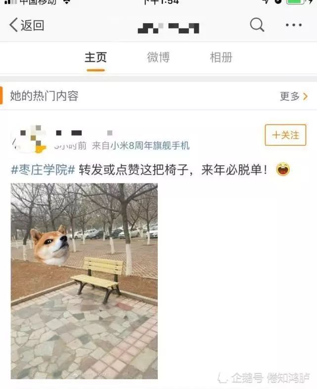 枣庄学院小情侣冬日户外不雅视频留出,出镜椅子成"网