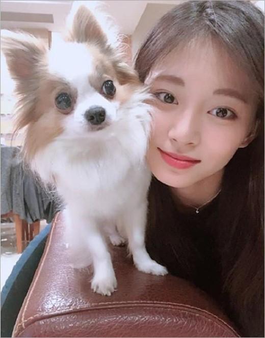 twice周子瑜怀抱宠物犬晒合影 清纯动人与狗狗有爱互动