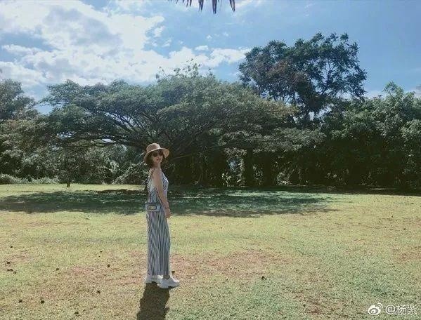 任贤齐晒暴瘦近照,杨紫虚心请教减肥方法被爆