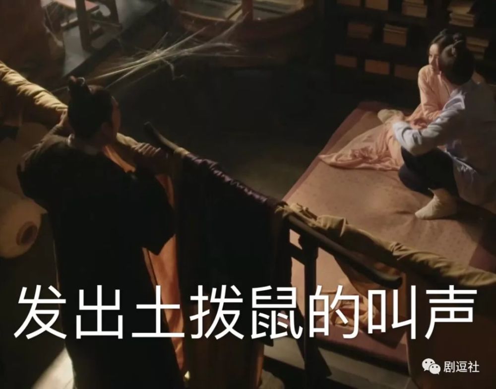 图片王沙雕,土拨鼠盛红狼,《知否》大娘表情一菜汤搞笑四全员的图片