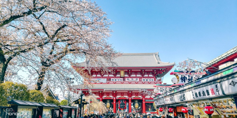 2019日本签证新政策:日本签证再简化,这类人或