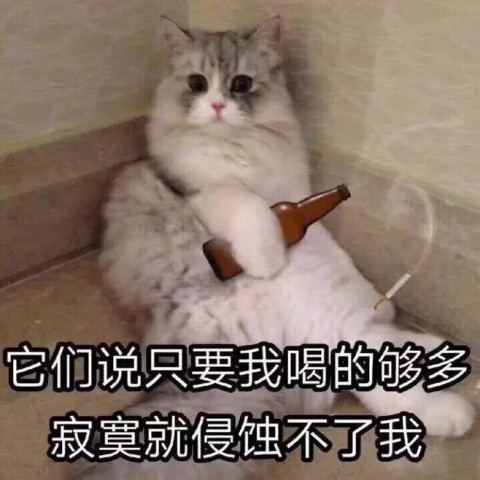 640