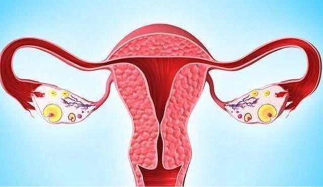 湖南女大学生突发腹痛,以为吃坏肚子,3天后就