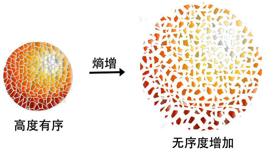 人口熵值(2)