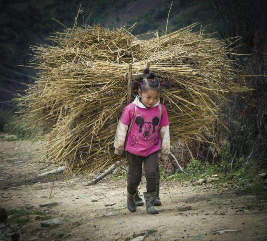 为什么穷人家的孩子早当家?没有伞的孩子,必须向前跑!