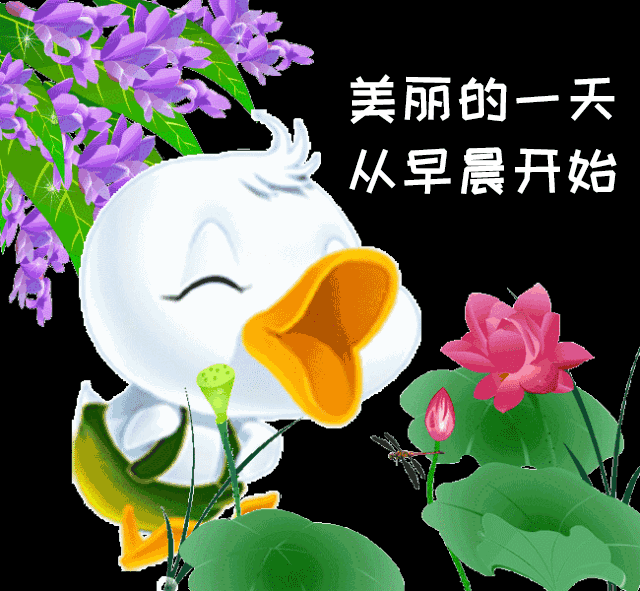 清晨朋友圈慰问大家早上好阳光温馨语录新版漂亮的早上好祝福表情动态