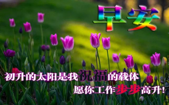 最新版早上好祝福语大全,早安问候祝福语带图片