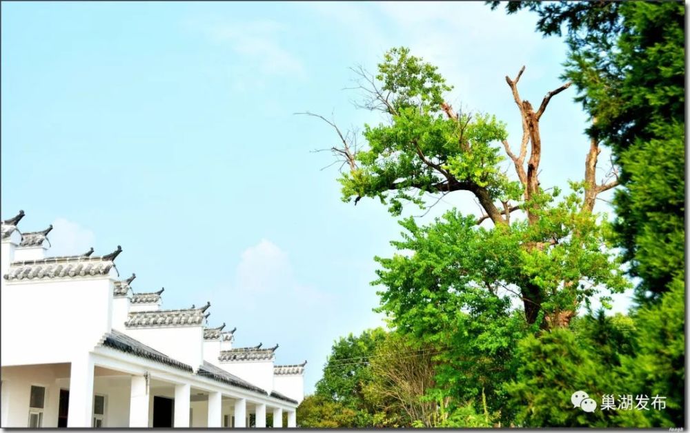 巢湖中垾人口普查_巢湖中垾镇柴火名菜(3)