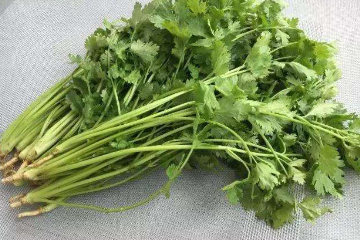 天然的感冒药找到了,白萝卜配此物煮水,治感