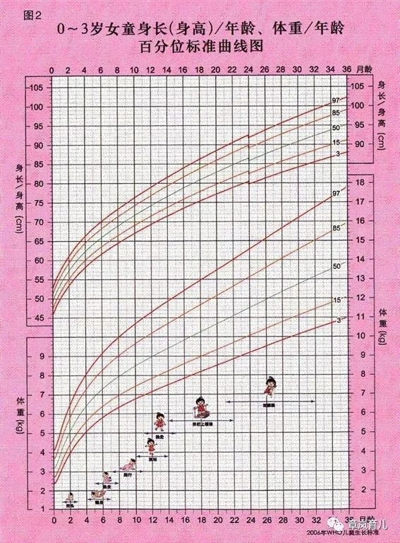 三分钟教你看懂做儿保的"生长曲线",别和邻居宝宝比