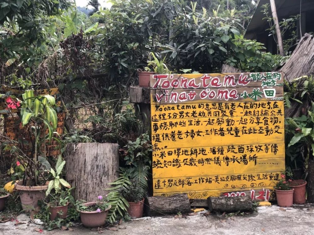 一个原始部落,被台风摧毁,却用面包重生