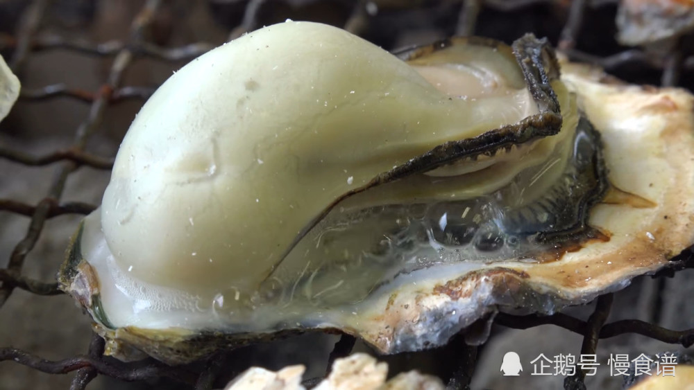 日本吃生蚝真便宜,一个人去海边烤了11个吃,也