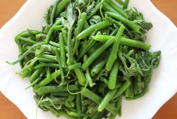 【食用南瓜秧到底有什么功效】
