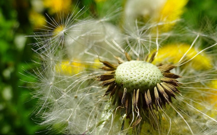 宫颈癌前兆?常饮3种暖宫水,子宫变干净!为