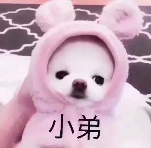 为什么都喜欢沙雕情侣头像?好看,好玩,好闹心,好有爱!