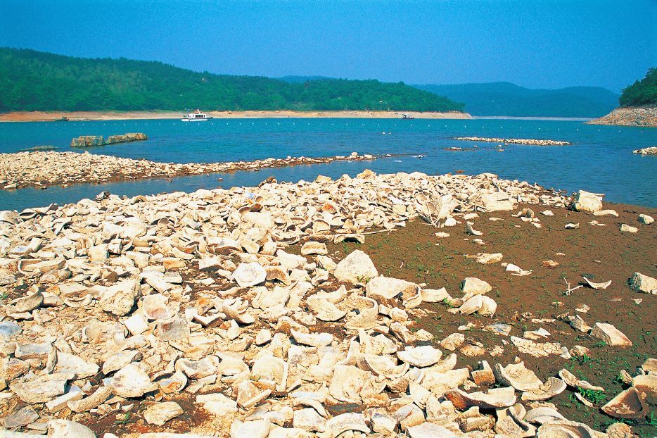 上林湖越窑国家考古遗址公园|陶瓷研究者的圣地