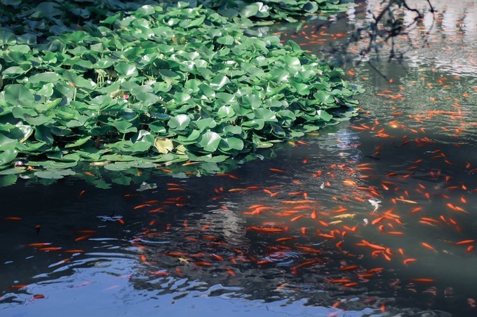 中国从未改过名的城市,有着4000多年历史,如今