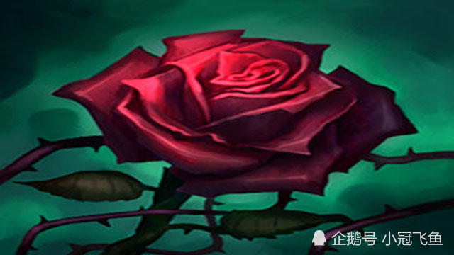 skt统一的玫瑰头像,背后的秘密很热血,这就是队员们的