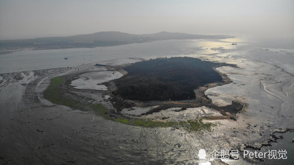 青岛唐岛湾国家湿地公园潮低时现广袤滩涂,航道清晰可见