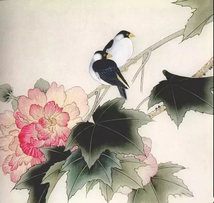 淡雅空灵杜曼华工笔花鸟作品40幅