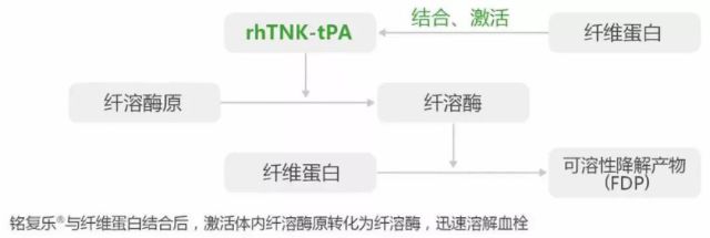 生死竞速 一针溶栓,注射用替奈普酶