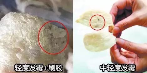 燕窝千万不能这么存放!4个存放窍门延长燕窝保质期