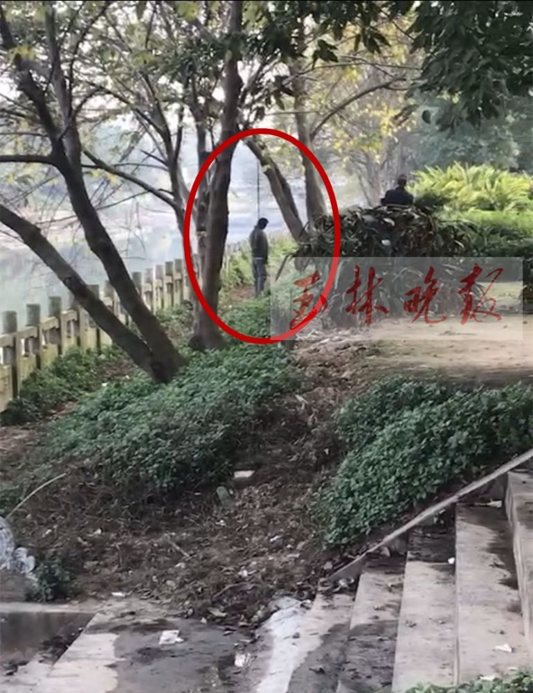 一中年男子在清湾江公园上吊自杀,警方寻找知