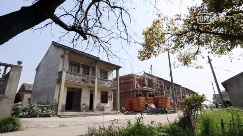 年度盘点:宝藏小众综艺了解一下