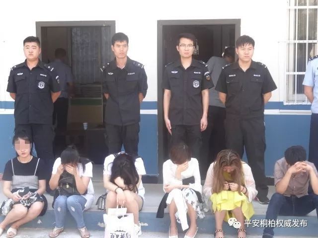 2018年以来,桐柏公安刑警大队共破获电信网络诈骗案件26起,带破外地