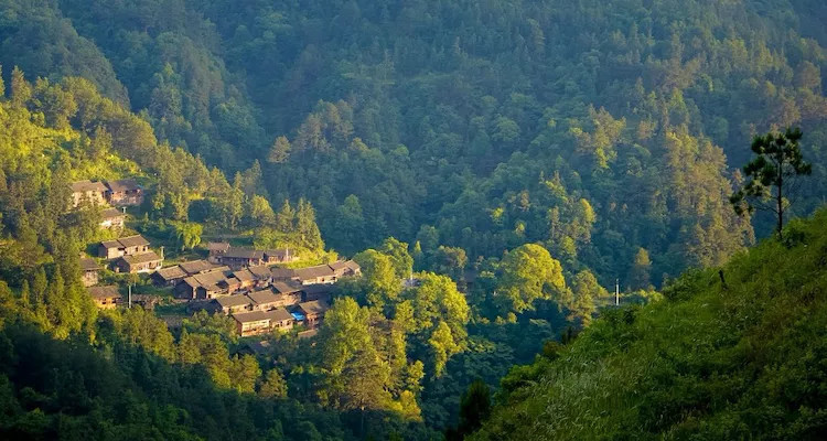 林业,名特产品松杉林,苗族特色古村落旅游景点,特色美食为苗家酸汤鱼