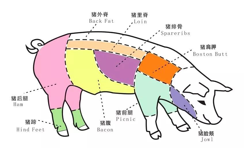 猪肉分割图