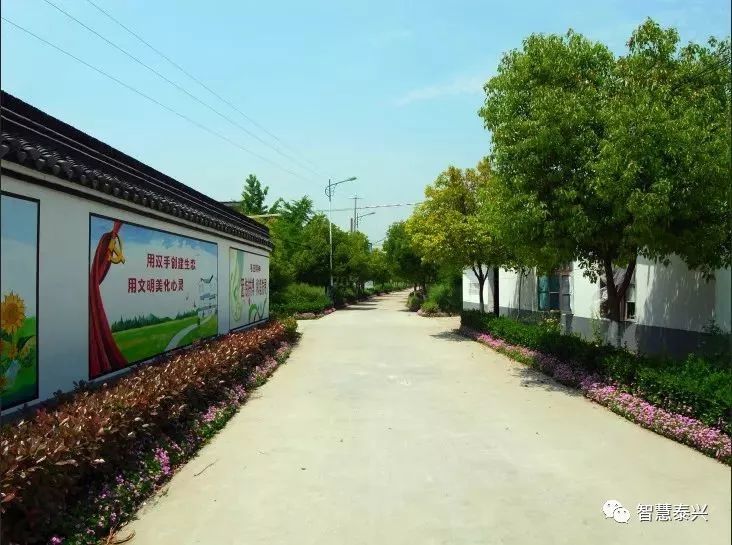 兴化市多少人口_兴化市人民医院照片(3)
