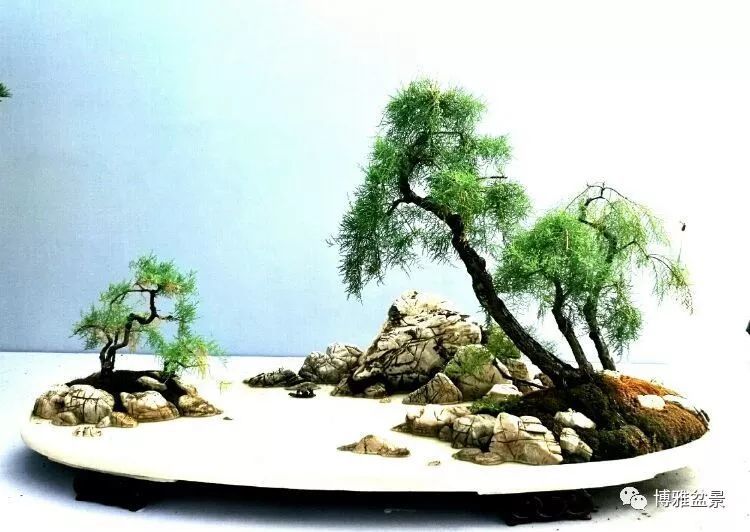 立体的山水画水旱盆景欣赏及制作