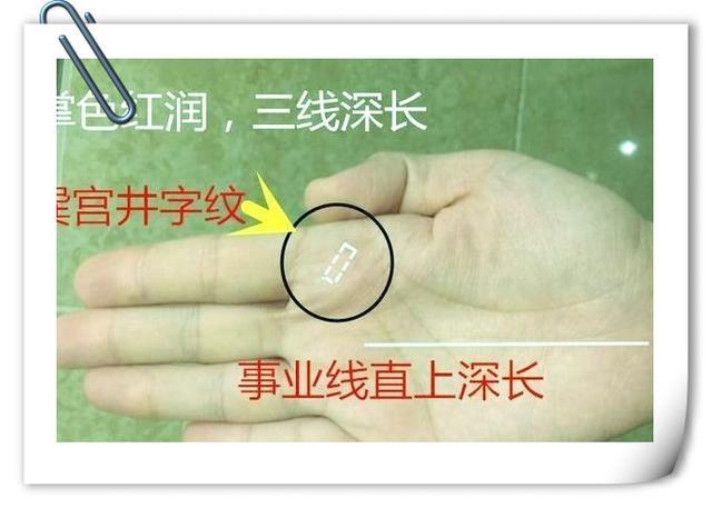 手相明堂清晰,纹路不杂,大小元宝纹,三才手相纹得配,旺夫益子型,此