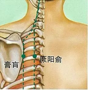 成语什么灸_脾虚艾灸什么部位图(3)