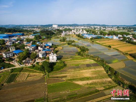 农业部长:现在仅有少部分农民有意愿退出承包地