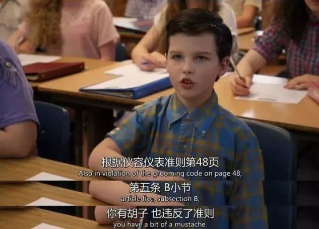 《小谢尔顿》(young sheldon)