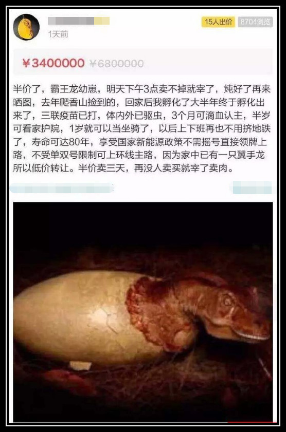 网购霸王龙幼崽,一个敢买一个敢卖,网友:你们都疯了吗