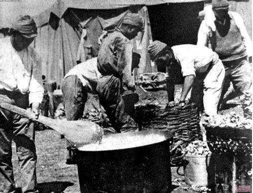 二战日本军用罐头，距今70多年，依旧可以食用