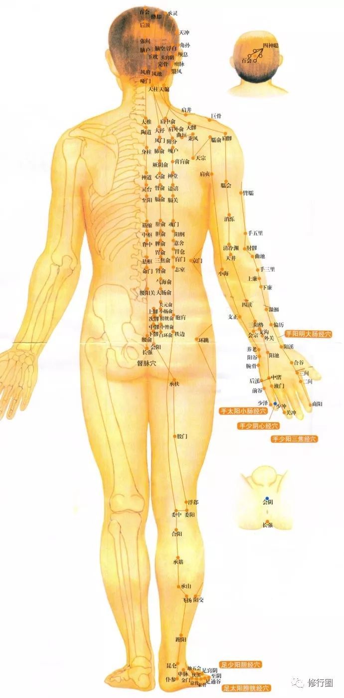 十二经络走向包括: 1,手三阴经:从胸沿臂内侧走向手.